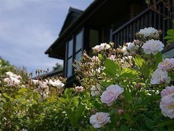 Barclay House Cottages Лу Экстерьер фото